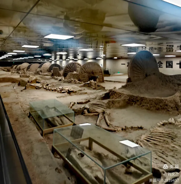 山东 淄博,古车博物馆,春秋殉车马坑遗址,2600年前,中国十大考古发现